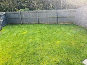 Rear Garden - click for photo gallery